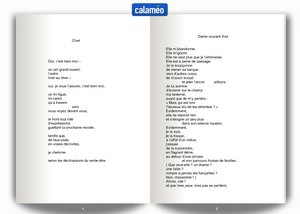 Poèmes d'identité